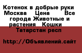 Котенок в добрые руки. Москва. › Цена ­ 5 - Все города Животные и растения » Кошки   . Татарстан респ.